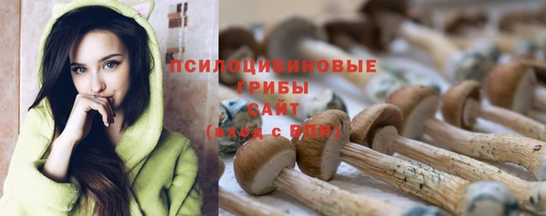 прущий лед Аркадак