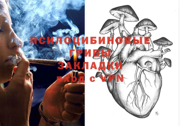 прущий лед Аркадак